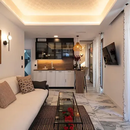 Palatina Concept *