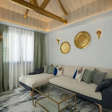 Palatina Concept *